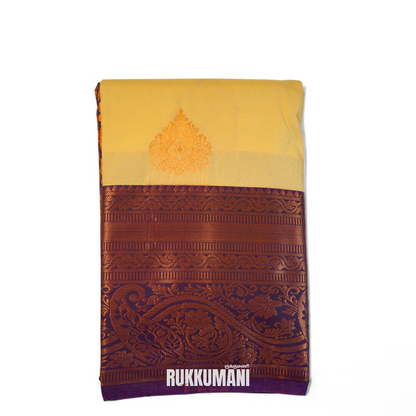 Anuraaga beige Saree