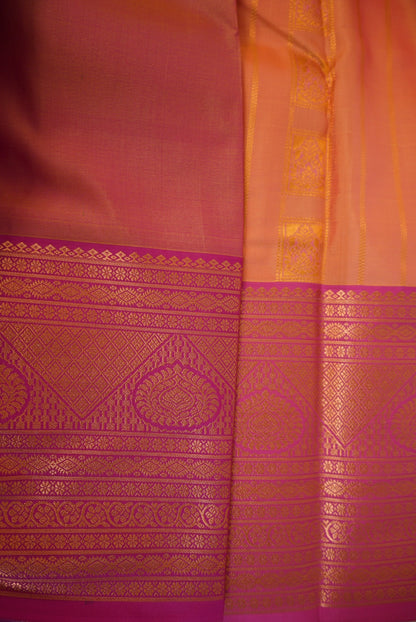 Sitara Saree