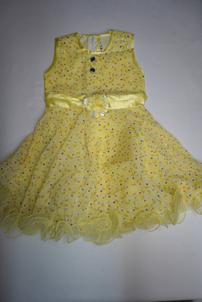 Daisy Girls Dress